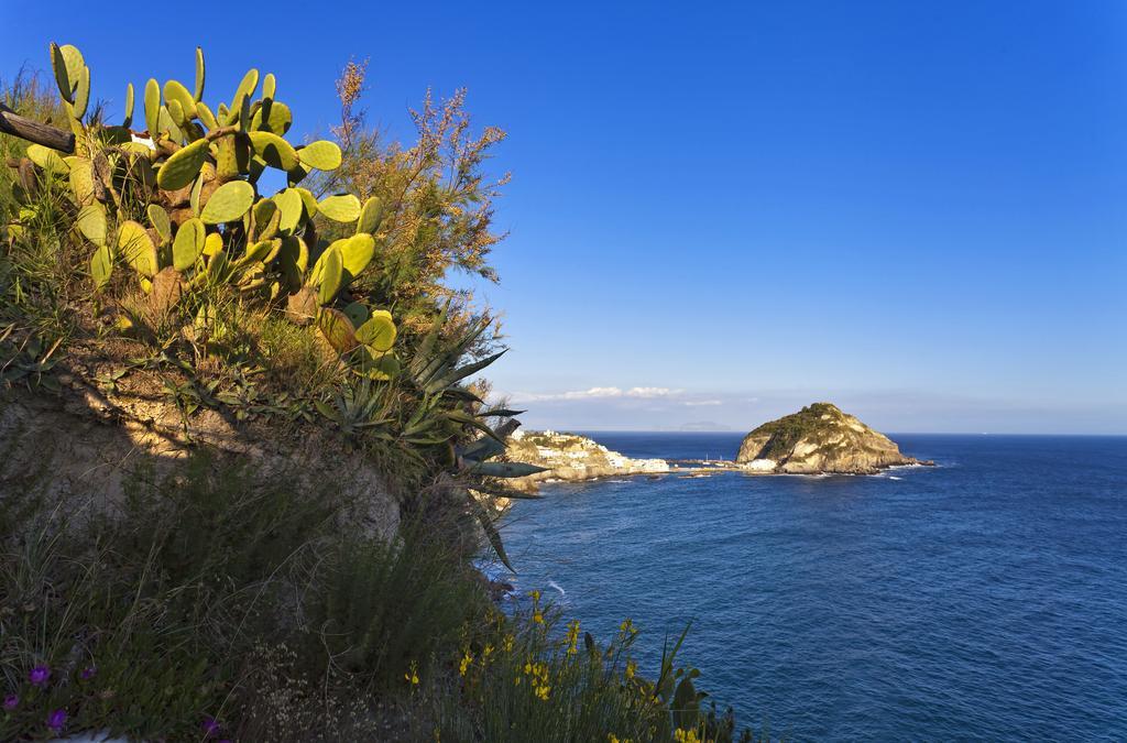 Costa Del Capitano Seaside Villas Sant'Angelo  Екстер'єр фото